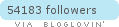 Follow DAYDREAM LILY