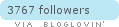 Follow Pink Fox