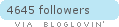 bloglovin