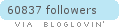 bloglovin