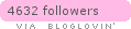 Follow Beauty Butterflies
