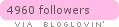 Follow Honey and Milk